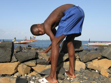 cheikh